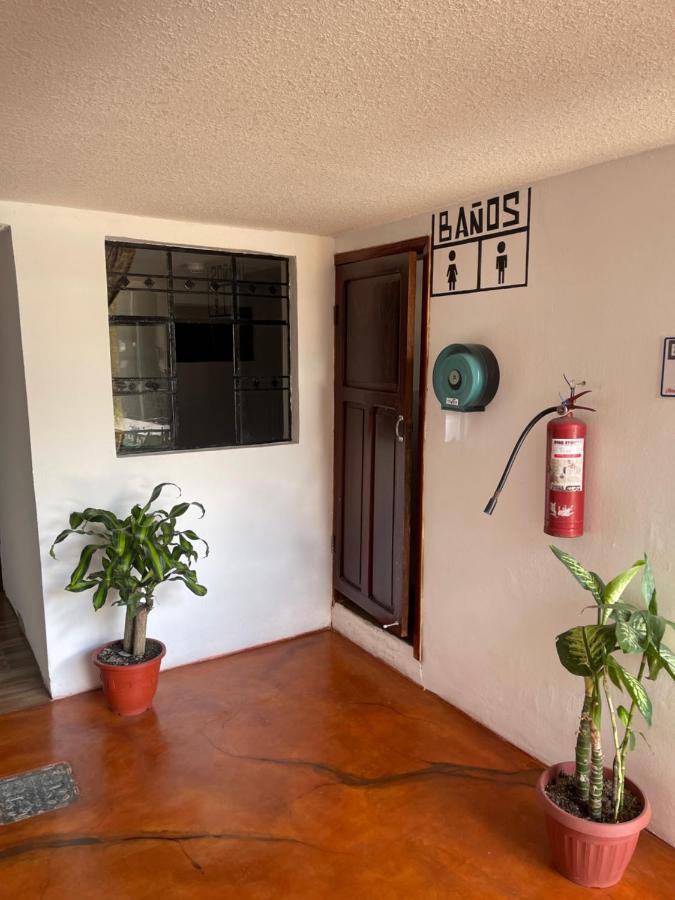El Jardin Escondido Party Hostel Баньос Экстерьер фото